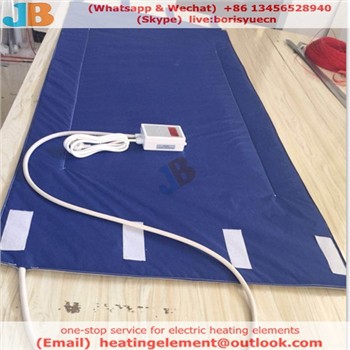 Europa exportiert fast eine Million Stück in einem einzigen Monat und kauft c...