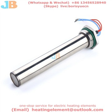 Multifunktions-Edelstahl-Nadelbad PTC-Warmwasserbereiterrohr