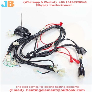 Hersteller Soem-kundenspezifischer elektrischer Kabelbaum-Kabelbaum für Haush...